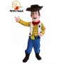 Affitto Noleggio Mascotte  Costume Woody Toy Story Festa a tema toy story