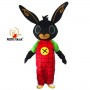 noleggio mascotte costume bing