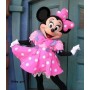 festa di compleanno minnie